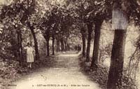 3. - LIZY-sur-OURCQ (S.-et-M.). - Allée des Soupirs